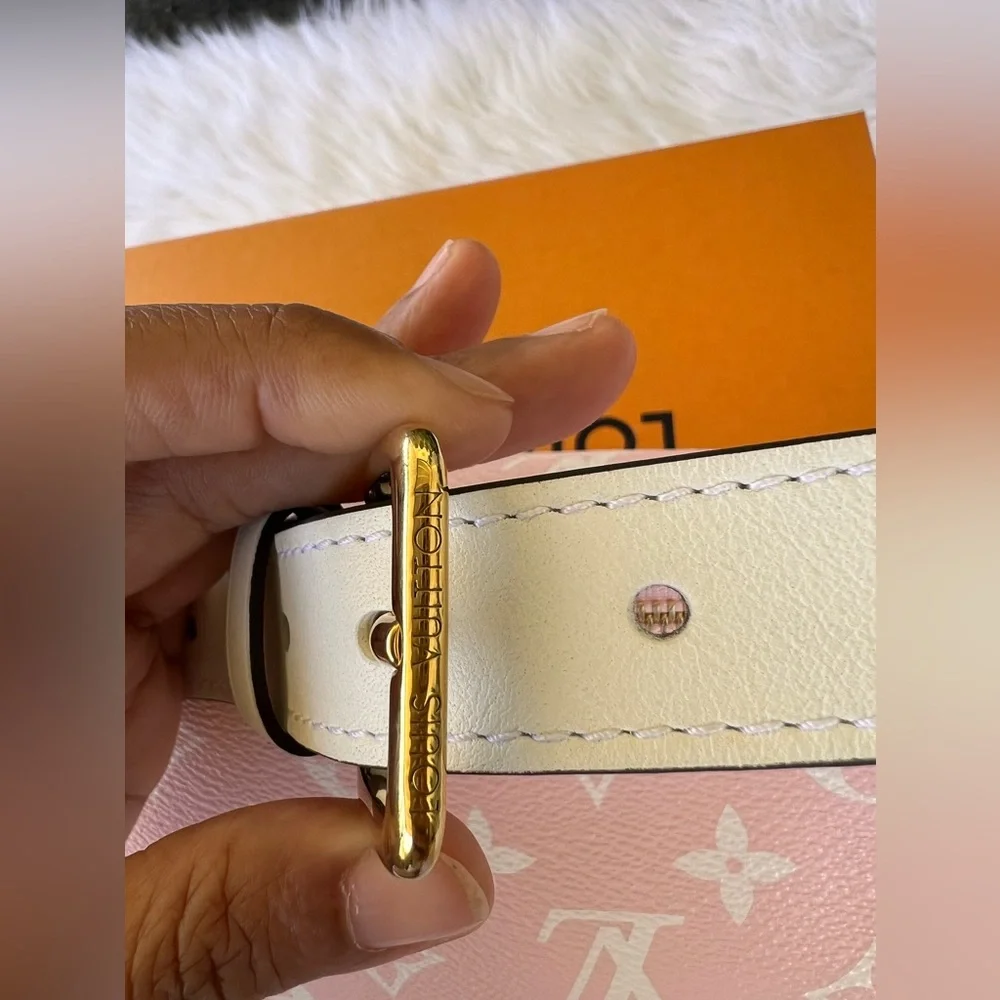 SOLD!!🔥🔥NWOT Louis Vuitton Giant Bumbag Limited Edition🔥🔥 - Picture 9 of 9